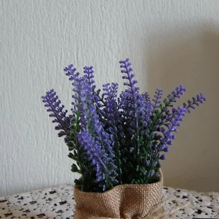 Lejlighed Nature Kastrákion