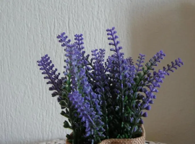 Apartment Nature Kastraki (Trikala)